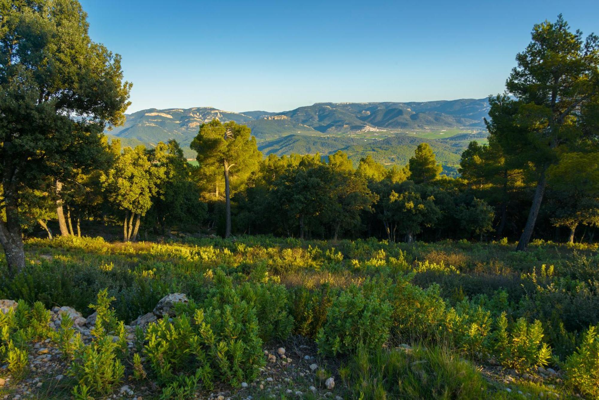 Torre Del Marques Hotel Spa & Winery - Small Luxury Hotels Monroyo Exteriér fotografie