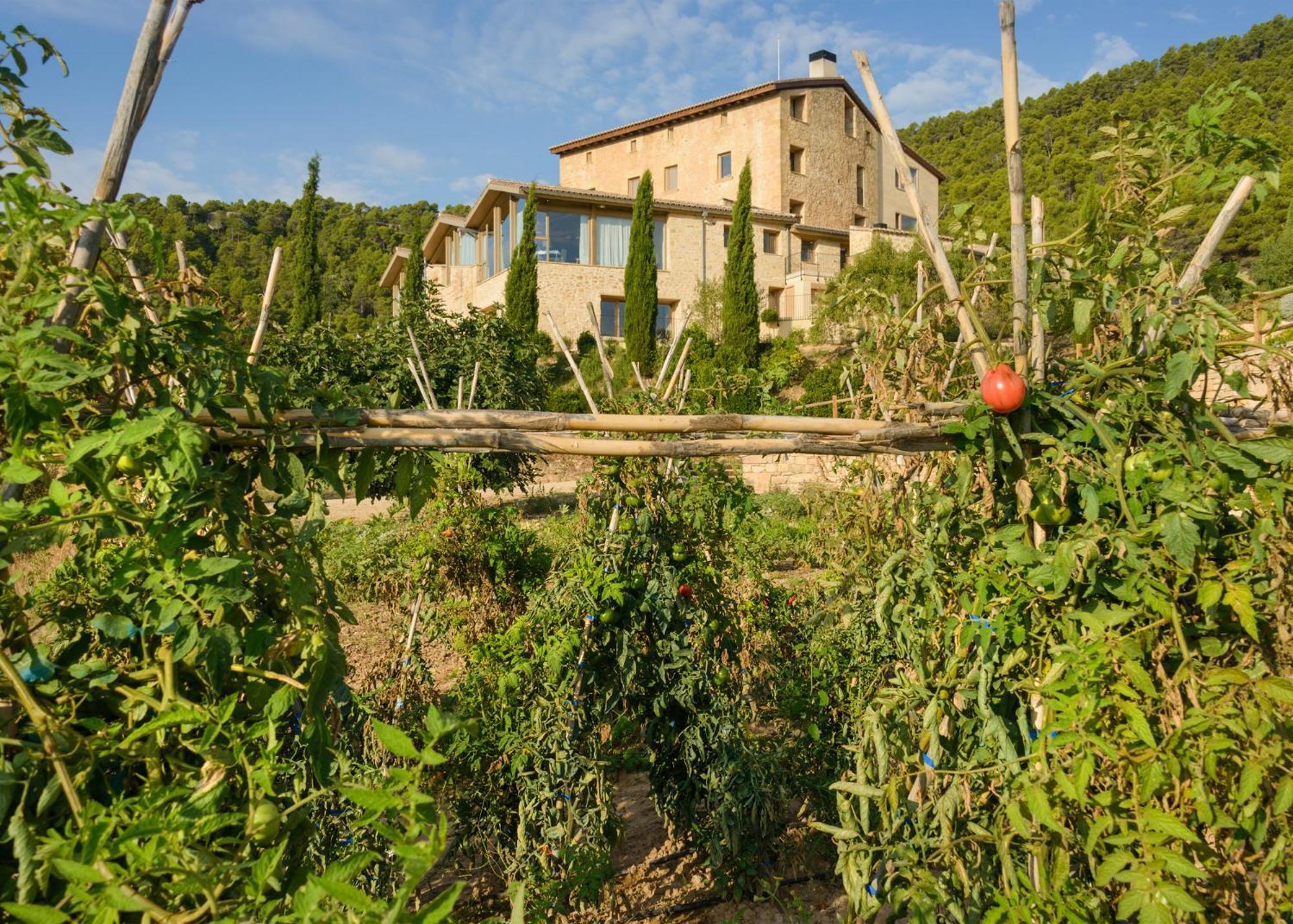 Torre Del Marques Hotel Spa & Winery - Small Luxury Hotels Monroyo Exteriér fotografie